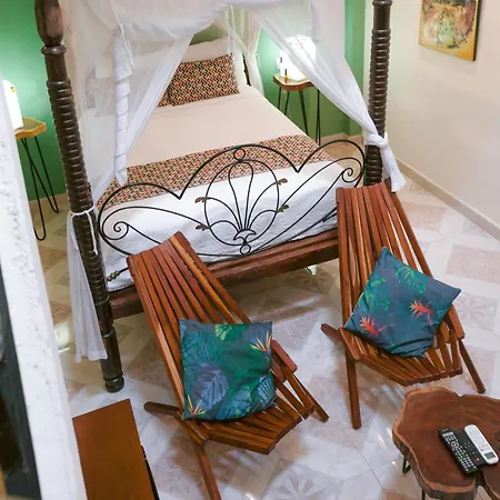 Viva Merida Hotel Boutique-3